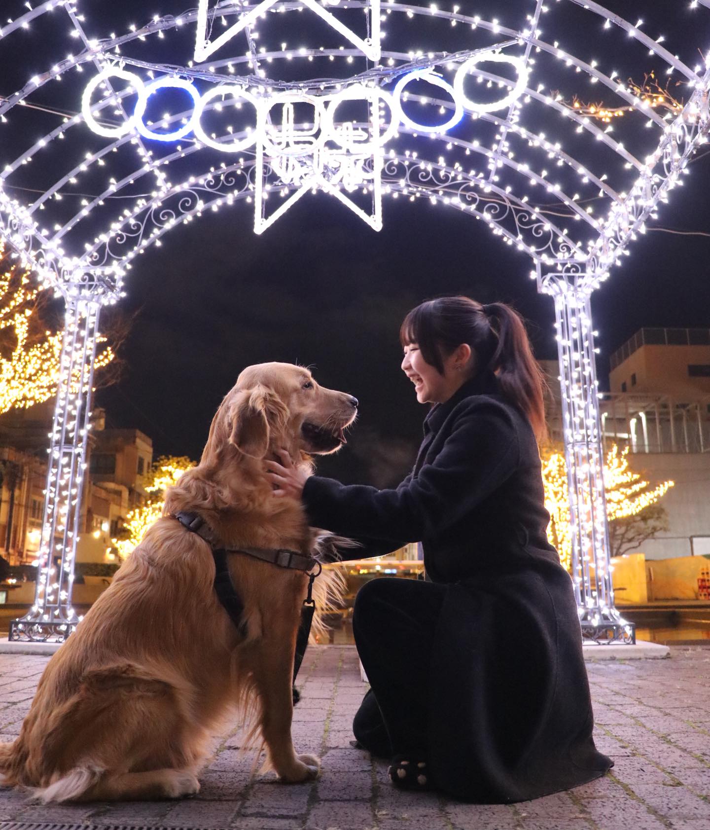 麦焼酎「西の星」（三和酒類株式会社）賞