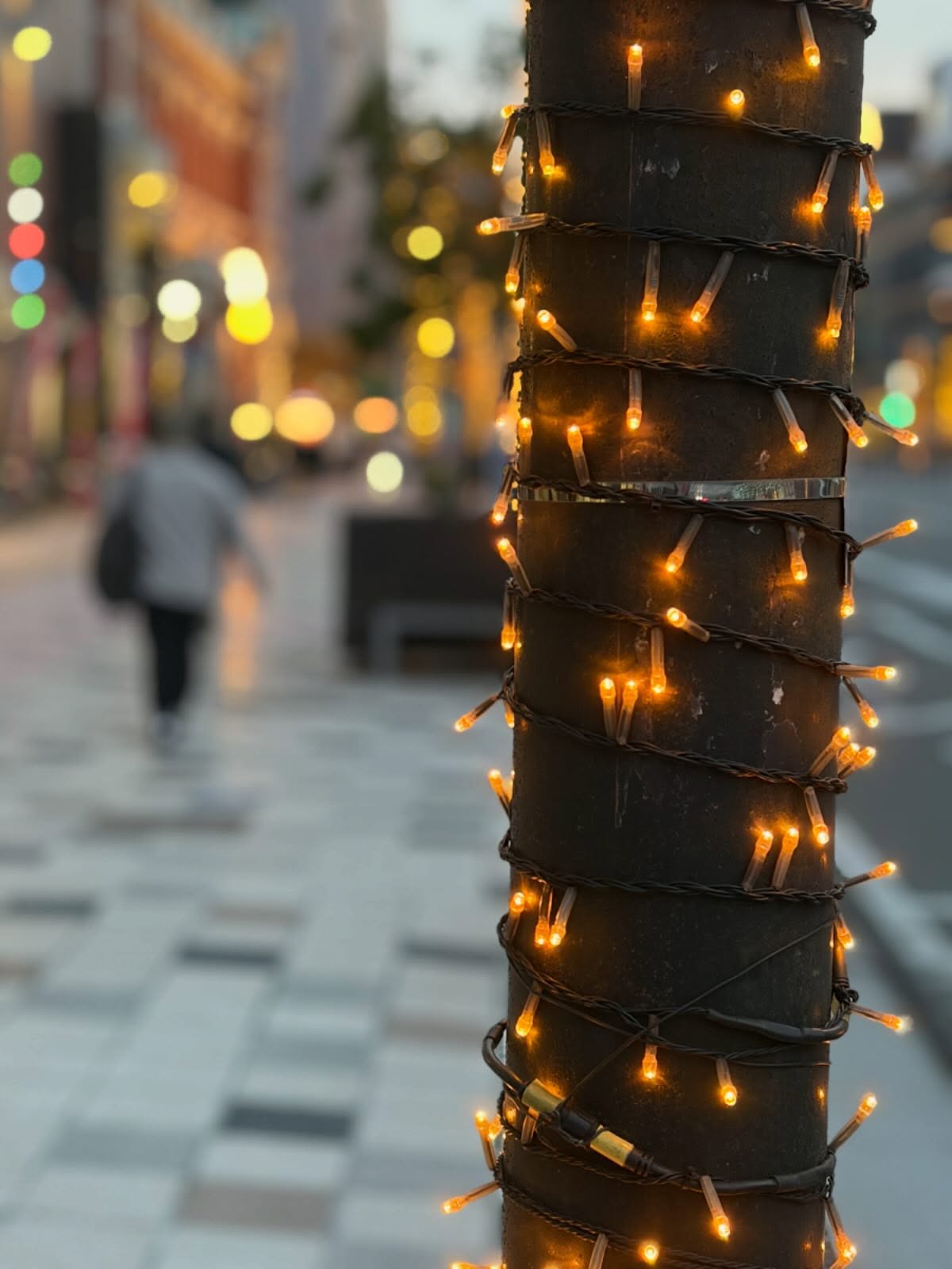 麦焼酎「西の星」（三和酒類株式会社）賞