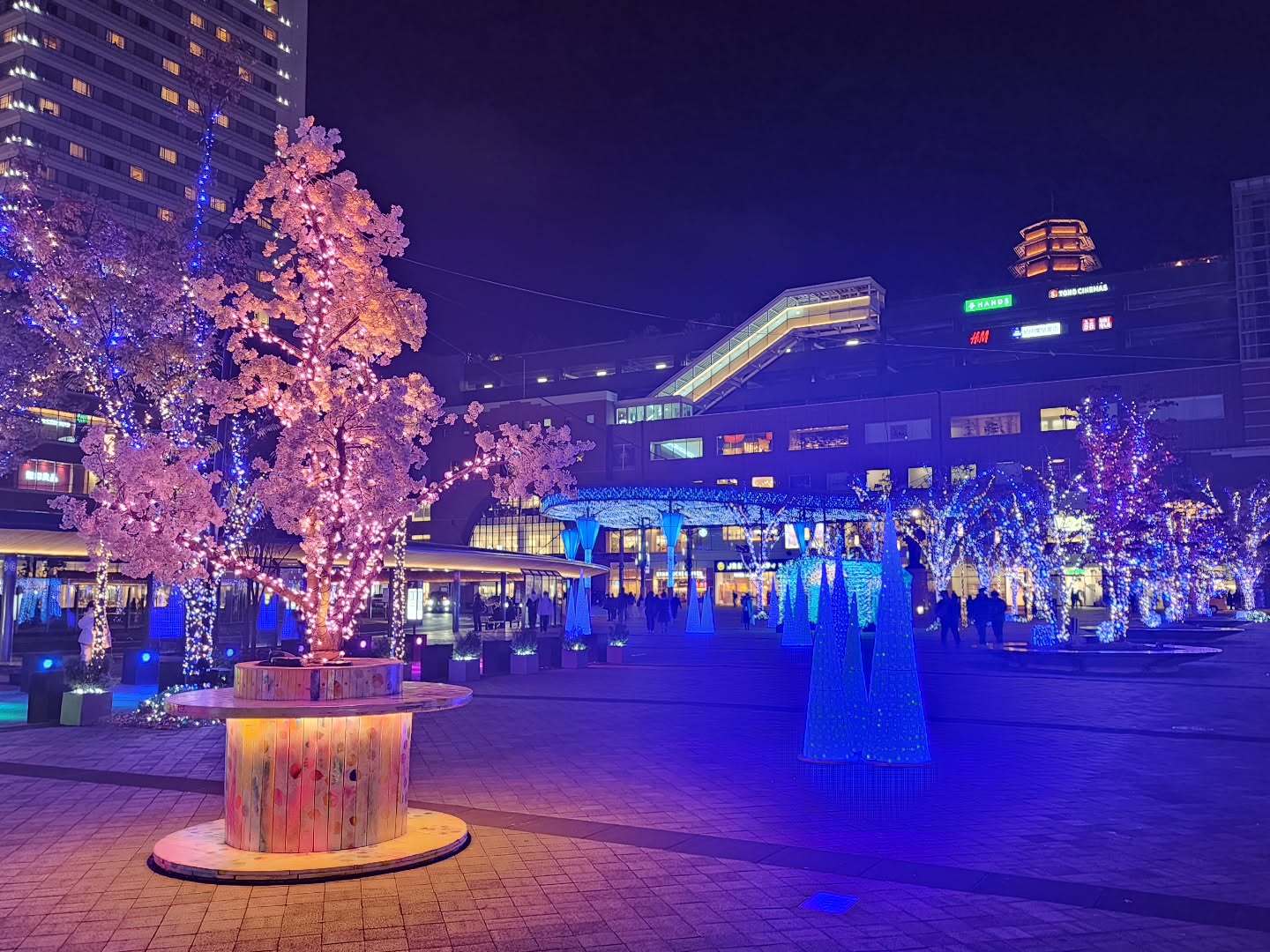 アイネス パープルリボンプロジェクト賞