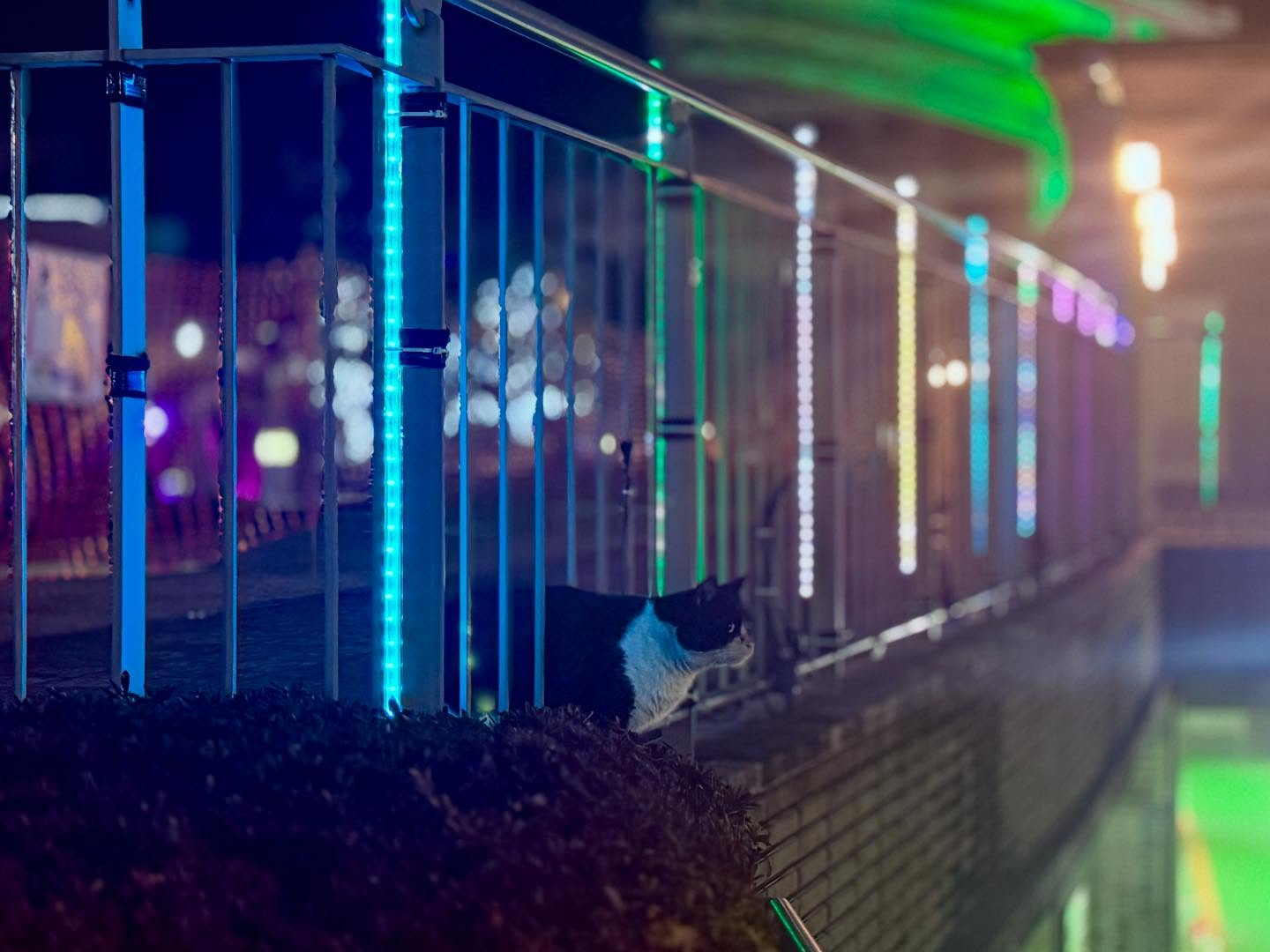 セントポルタ中央町賞